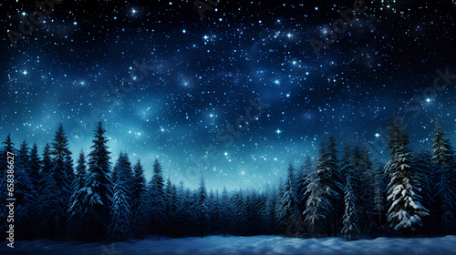 winter night landscape. snowy forest and fir branches.	