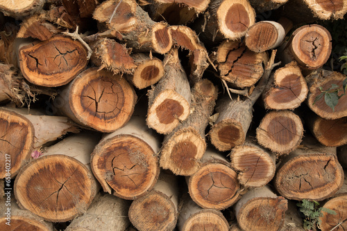 Pila de troncos de madera cortada textura fondo
