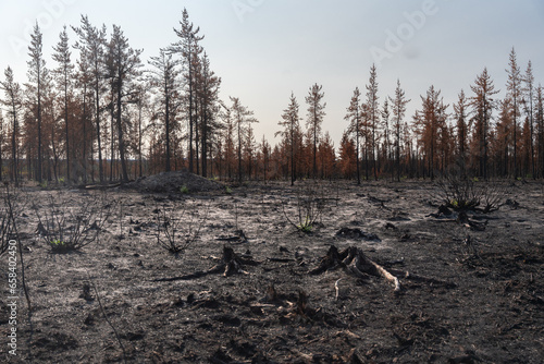 Les incendies au Quebec - 2023
