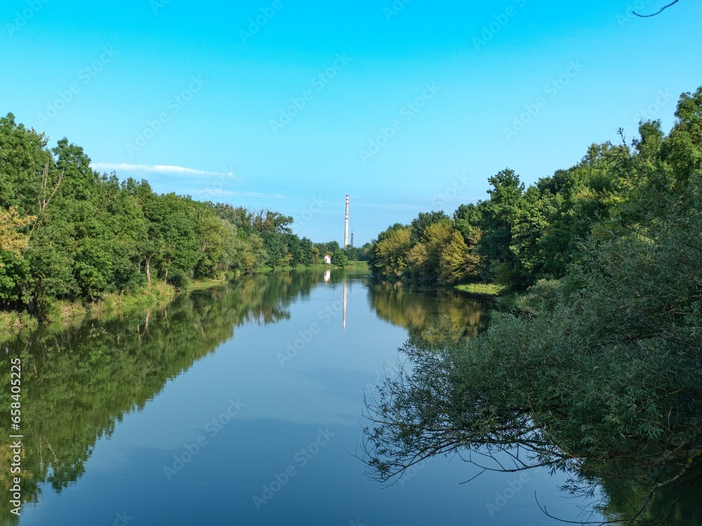 Fototapeta premium pure water river in the wood