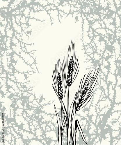A Bible parable. The grain fell into the thorns. Vector drawing