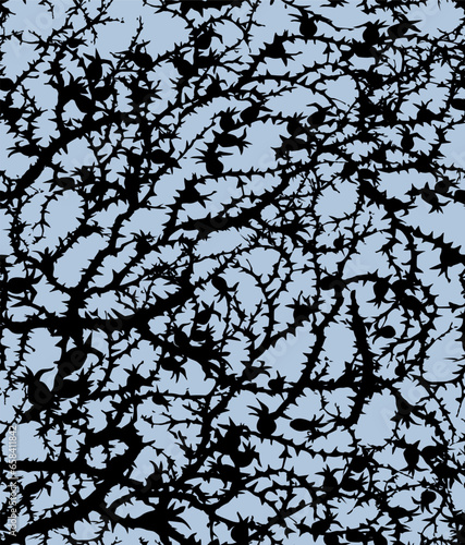 Branches of Blackthorn. Vector drawing