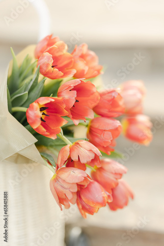 Red Tulip Flowers