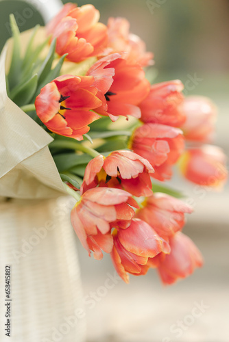 Red Tulip Flowers