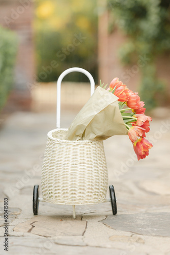 Red Tulip Flowers with wagon with running toddler girl