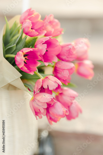 Pink Tulip Flowers