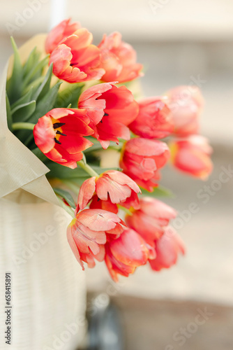 Red Tulip Flowers