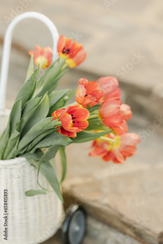 Red Tulip Flowers