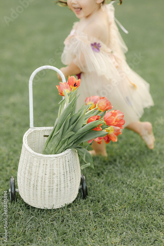 Toddler girl with red tulip flowers