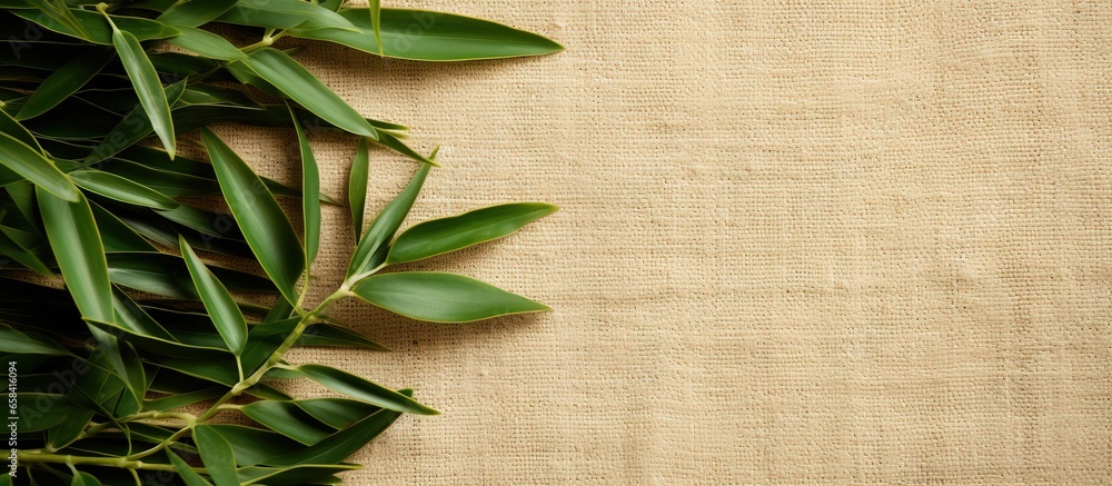 Eco friendly cotton fabric with recycled label and grass made recycling ...