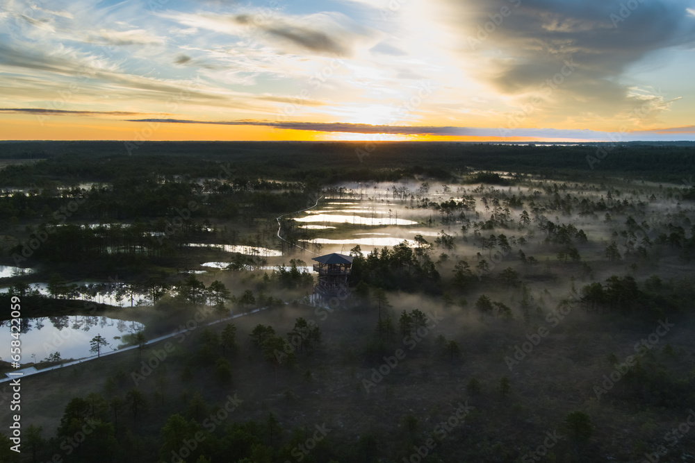 Nature of Estonia, dawn on a swamp in summer.  Fog over the lakes.  View from a drone.
