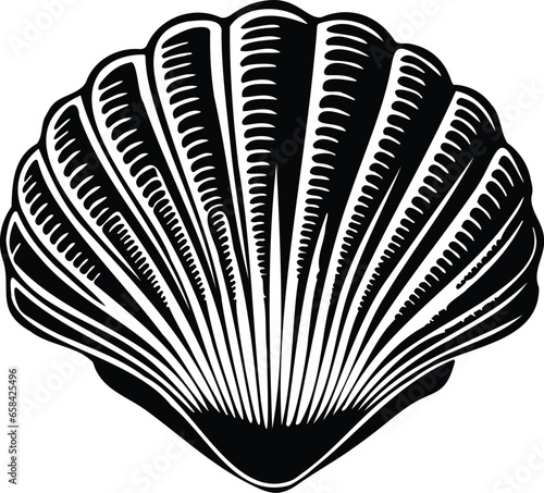 Ocean Beach Sea Shell Clamshell 
