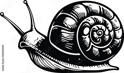 Realistic Snail Shell Slug Animal
