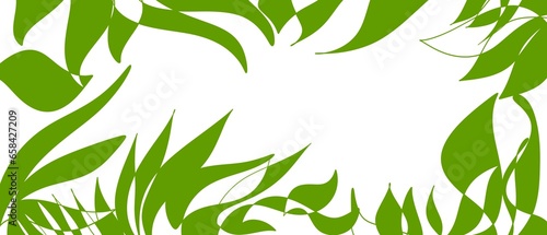 Sfondo bianco, banner botanico foglie verdi spazio vuoto al centro. Estate photo