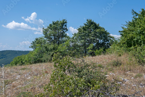 Amazing Summer Landscape of Rudina mountain, Bulgaria