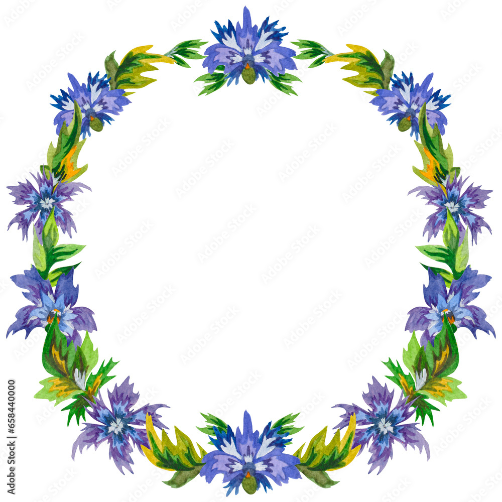 Watercolor fame with cornflowers in ukrainian decorative style named samchykivka isolated on white background. 