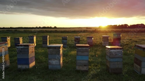 aerial view of the bee hive