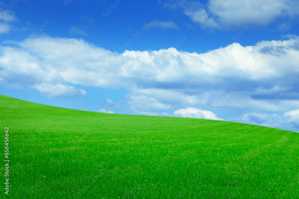 Lush green grass under bright blue sky with fluffy clouds