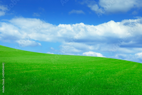 Lush green grass under bright blue sky with fluffy clouds © New Africa