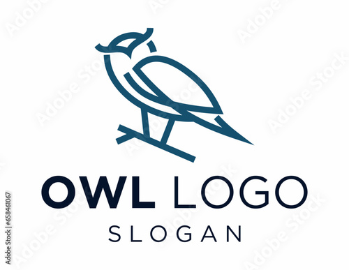 Logo about Owl Logo Design created using the CorelDraw application. on a white background.