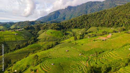 Terraced Rice Field in Chiangmai  Thailand