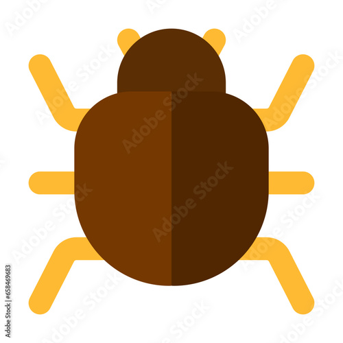 bug