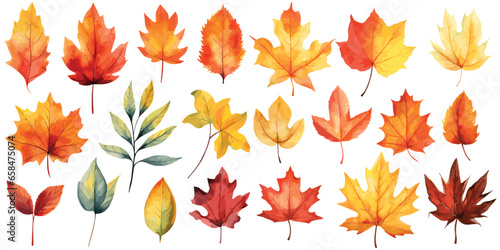 Watercolor autumn leaves, Beautiful autumn leaves