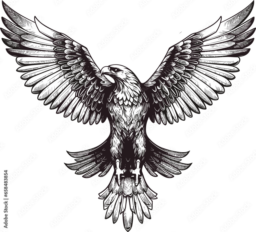 Eagle vector illustrations logo, t-shart design wallpaper Eagle vector illustrations logo, t-shart design wallpaper