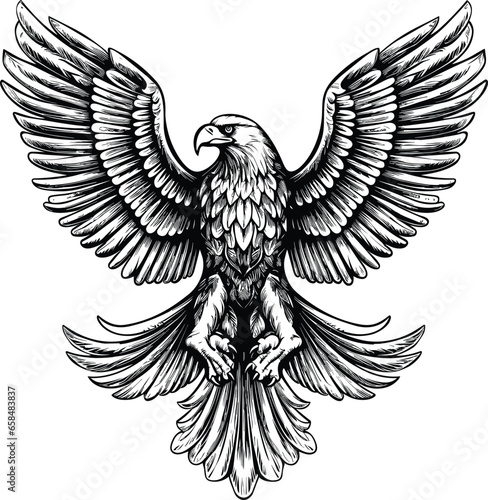 Eagle vector illustrations logo, t-shart design wallpaper  