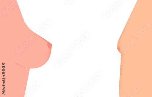 Female and Male mammary gland. Vector illustration