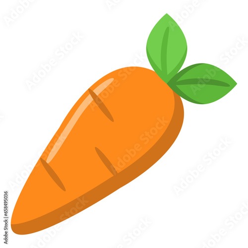 vector illustration of an orange carrot