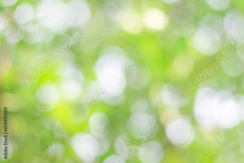 Abstract green nature blur background