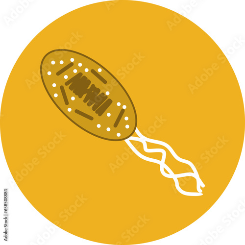 bacteria
