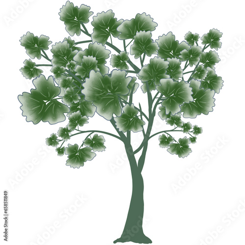 illustration of leaf and  branch