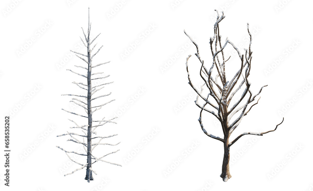 Fototapeta premium snow on tree in transparent, no background