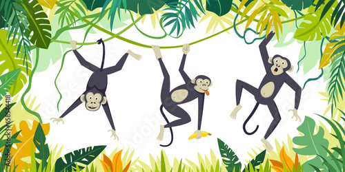 gorilla monkeys background. exotic apes characters in jungle, chimpanzee orangutan. vector cartoon characters background.