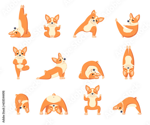 dog doing yoga. sport exercises pilates concept, fitness funny happy animal dogs character. vector cartoon characters.