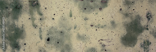 Vintage wall texture. Weathered stained rough surface of the concrete wall. A pattern with spots of faded green paint. Wide panoramic texture for background and design.