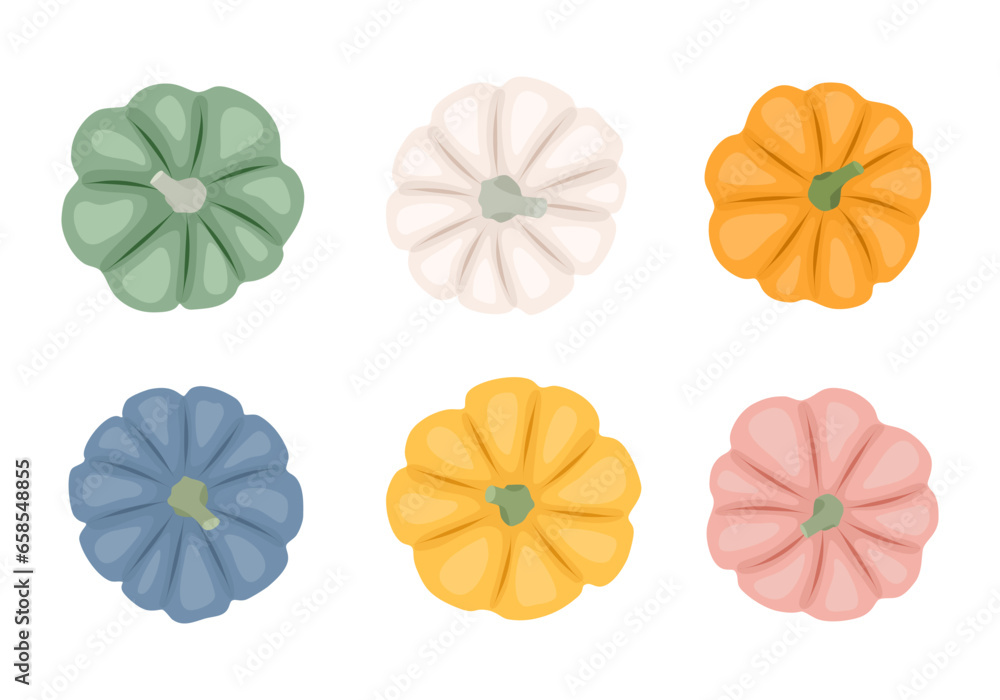 Colorful pumpkins top view in flat style. Design elements for Halloween, harvest, autumn.