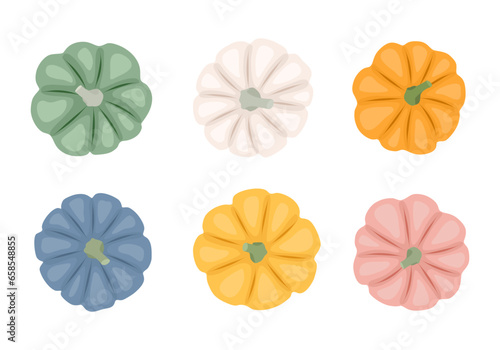 Colorful pumpkins top view in flat style. Design elements for Halloween, harvest, autumn.