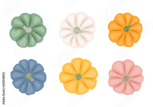 Colorful pumpkins top view in flat style. Design elements for Halloween  harvest  autumn.