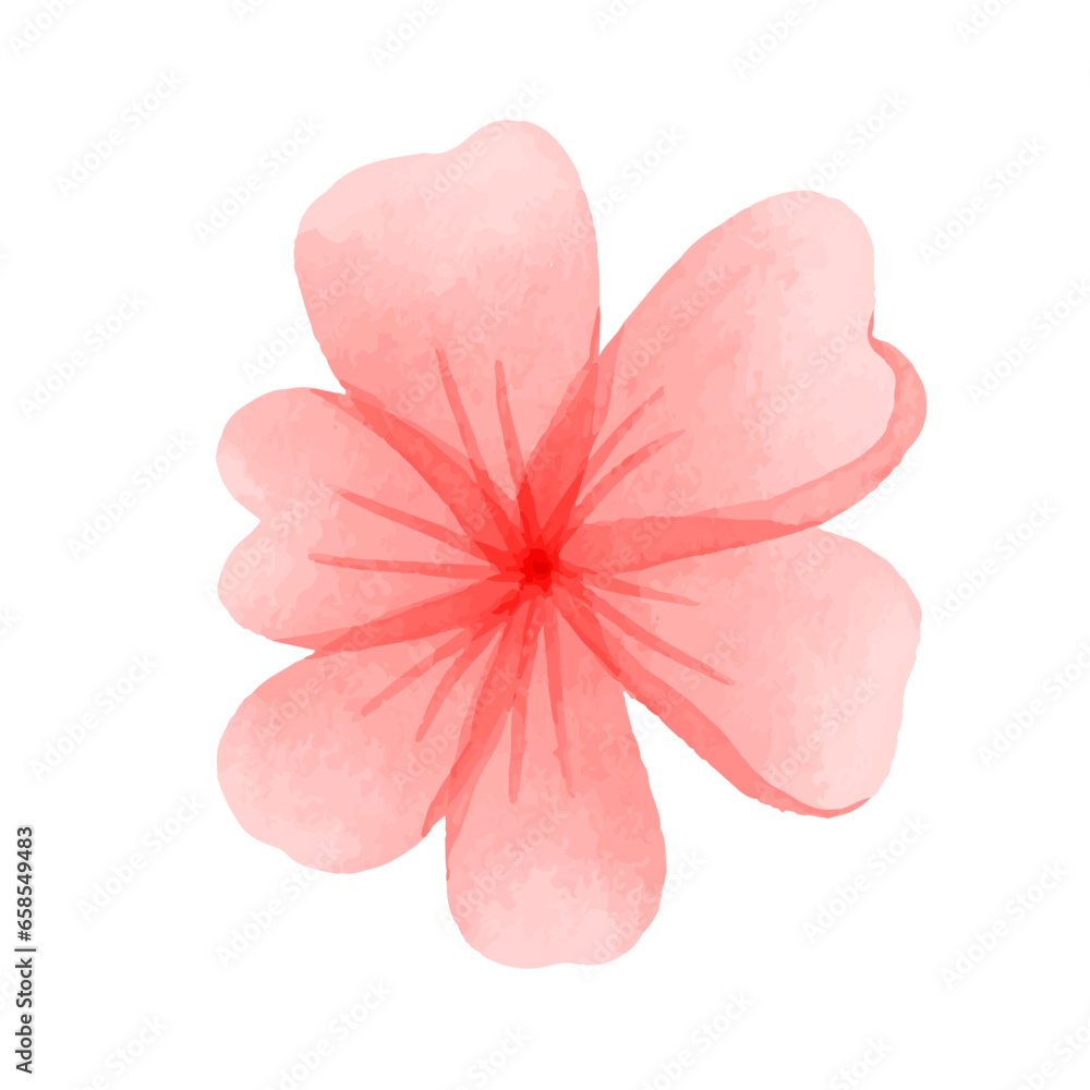 Fototapeta premium Vector watercolor herbs and flowers isolated on white