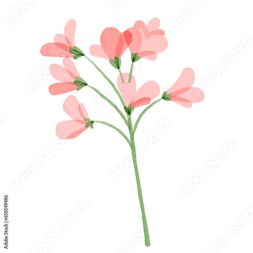 Vector watercolor herbs and flowers isolated on white
