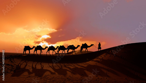 Caravan of camel in the sahara desert of Morocco at sunset time