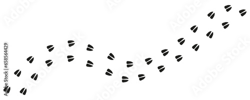 Horse hooves. Path footprints of horse, mustang, pony, deer, cow, goat, sheep, elk, antelope. Deer tracks. Paws, steps. Silhouette. Vector isolated. Hippodrome, horse racing, farm, stud farm, zoo