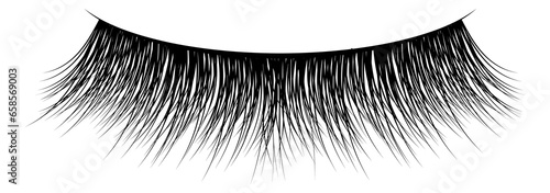 Photos Eye makeup. Long black fake salon lashes