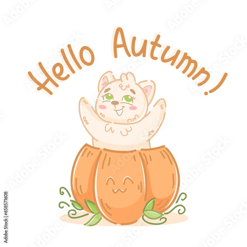 Cute cat character. Hand drawn illustration of a cat jumping out of pumpkins. Hello  Autumn  In doodle style. Satisfied  happy cat  rejoices in the arrival of autumn. Pumpkin smiles and rejoices. 