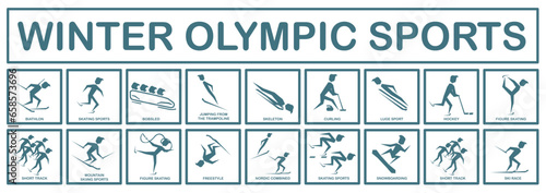 Billede på lærred Winter Olympic sports