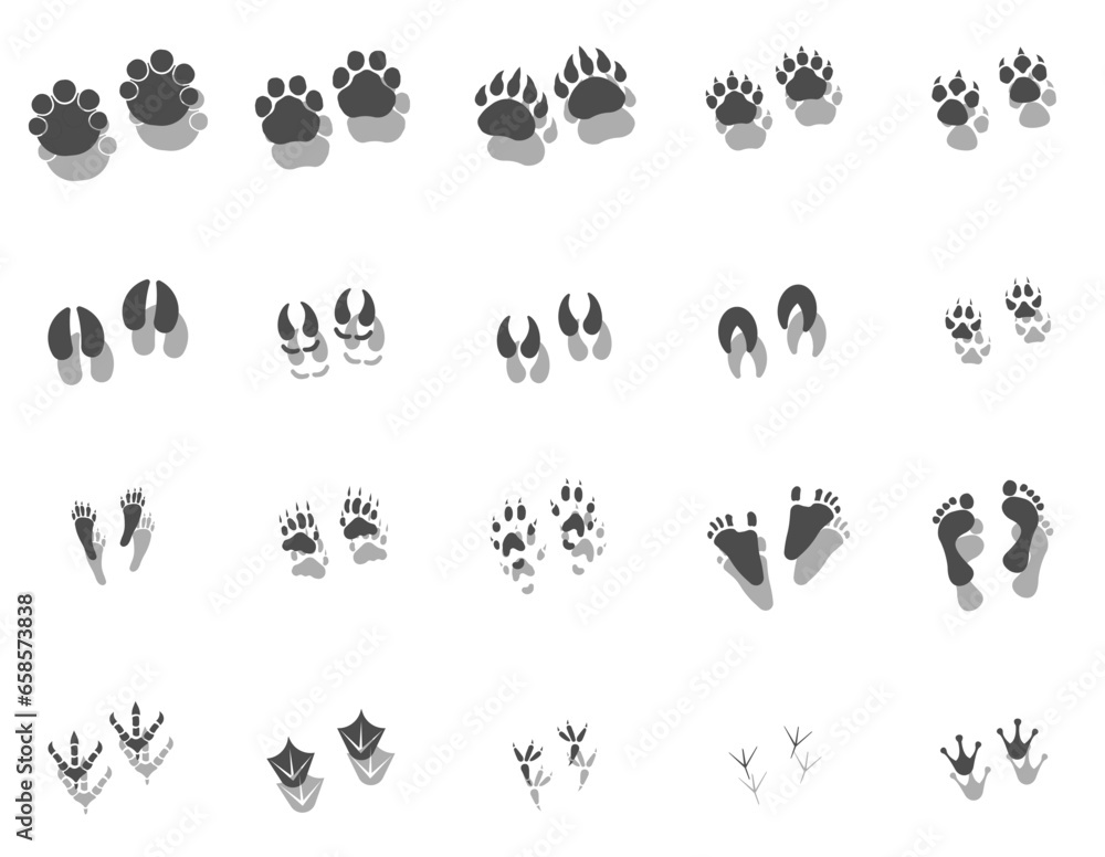Traces of animals and humans. Traces with shadow. Vector drawing, foot prints tutorial.