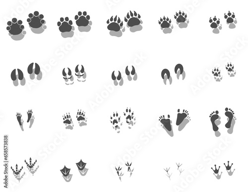Traces of animals and humans. Traces with shadow. Vector drawing, foot prints tutorial. © Alex Darts